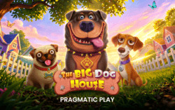 The Big Dog House
